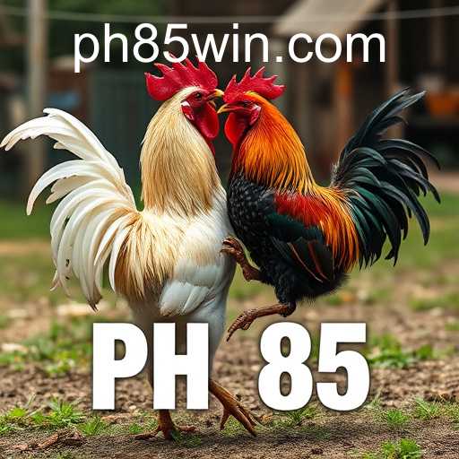 The Evolution of Online Sabong: Exploring PH 85 and Its Impact
